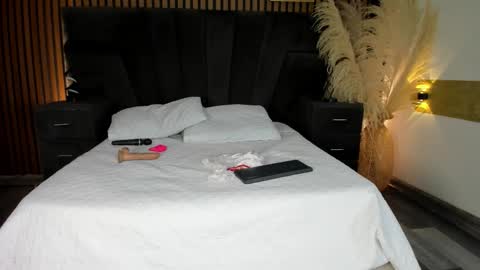 3X NAXAA online show from February 22, 3:02 pm