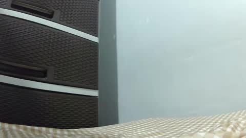 88vanilla88 online show from January 31, 10:31 am