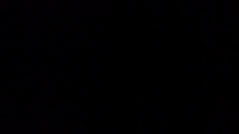 Snapshot of _aliice_1 chatting on December 29, 4:51 pm Alice online show from December 29, 4:51 pm