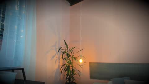  Alline Hall   online show from September 22, 11:08 am