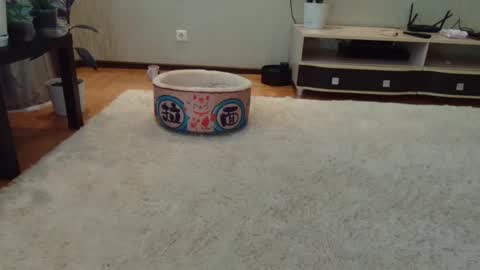 _mary_chili online show from July 29, 5:07 am