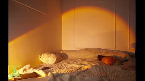 R online show from November 20, 2:51 pm