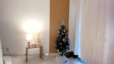 Snapshot of _samsexy_ chatting on December 28, 9:08 pm Sam --- next stream 2 dic. online show from December 28, 9:08 pm