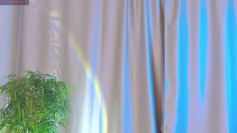 Jane online show from September 12, 5:30 am