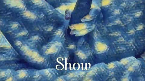 Snapshot of _the_sun_ chatting on January 18, 10:28 pm Evi online show from January 18, 10:28 pm