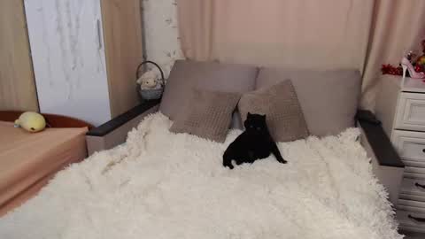 Lina online show from February 6, 11:20 am