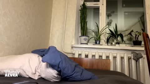 vegans taste better online show from November 23, 5:03 pm