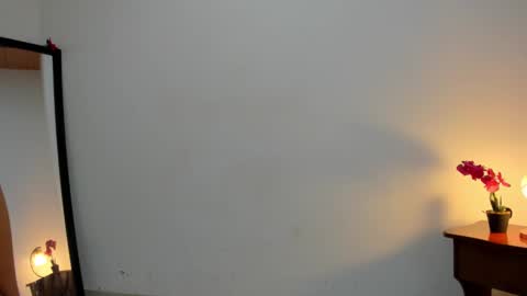 Snapshot of afrodita3123 chatting on March 6, 1:03 pm Lorena online show from March 6, 1:03 pm