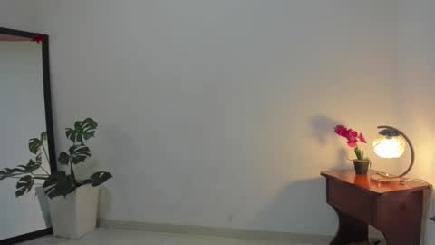 Snapshot of afrodita3123 chatting on September 25, 3:00 pm Lorena online show from September 25, 3:00 pm