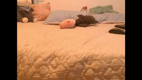 Alaska online show from September 23, 6:22 am