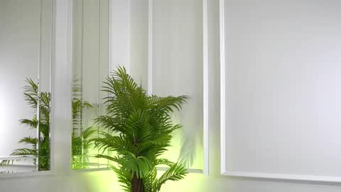 alexxiskye online show from October 23, 8:42 am