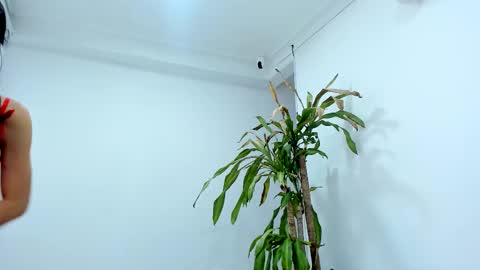 Alice online show from October 24, 7:43 pm