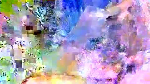 Snapshot of alliebearx chatting on October 13, 4:37 am alliebearx online show from October 13, 4:37 am