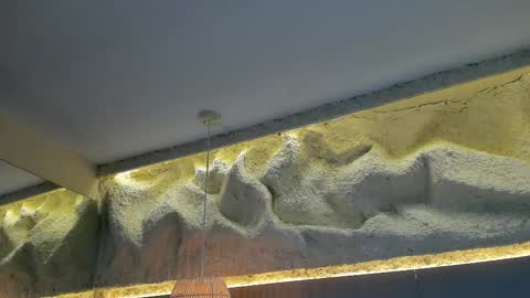 amy online show from March 18, 12:10 pm