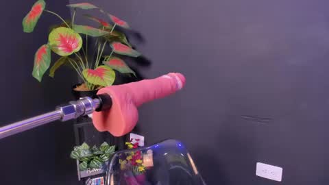 amywhitte_ online show from June 17, 3:41 am