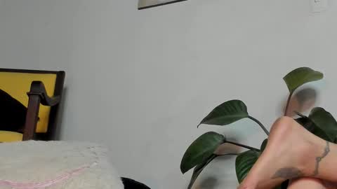 Ana Henao or Annie... Follow me ahenaocb Insta  X online show from March 2, 2:44 am