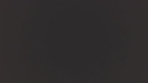   online show from November 21, 1:02 pm