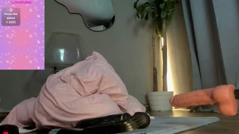 Carolina online show from November 14, 12:54 am