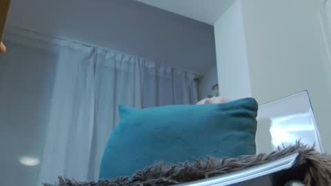 Anna online show from January 31, 5:40 am