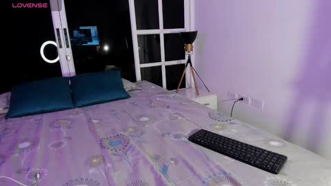 Snapshot of ariana_villada chatting on January 19, 3:18 am Ari online show from January 19, 3:18 am