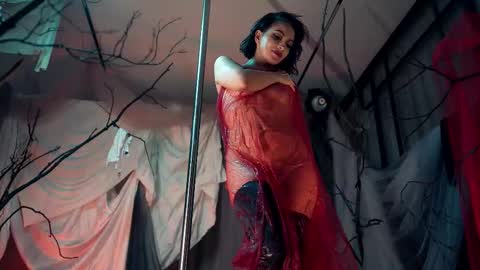 The ticket show has been postponed to Monday tomorrow. Sorry womens day online show from November 10, 8:37 pm