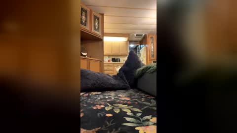 ashlynnblackx online show from July 21, 3:51 am