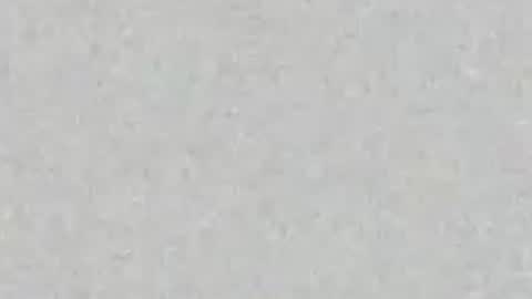 Carolina online show from July 23, 11:51 am