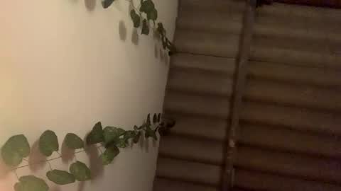 Avril online show from February 10, 10:09 am