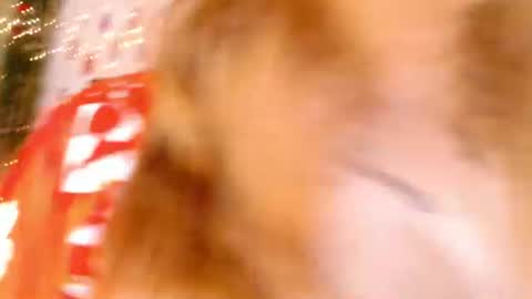 Ayla hill online show from July 9, 2:47 am