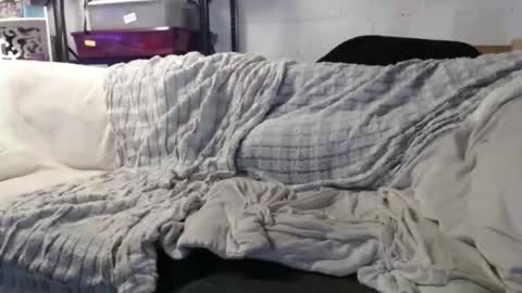 BeachyMILF online show from January 18, 7:43 pm