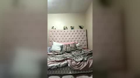 Beauty online show from July 19, 6:48 am