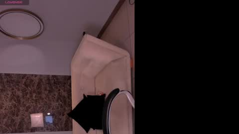 Snapshot of bellacarteer_ chatting on March 2, 11:50 pm Bella C online show from March 2, 11:50 pm