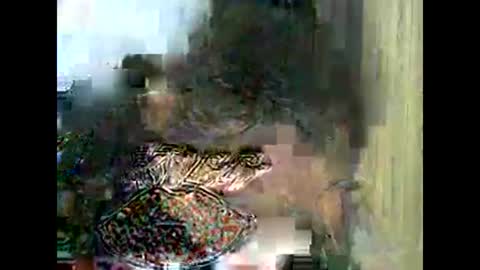 bigboobslyn online show from September 16, 10:34 am