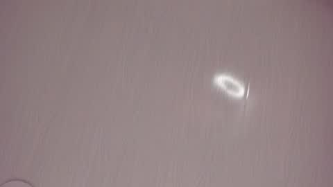   online show from July 28, 10:02 am