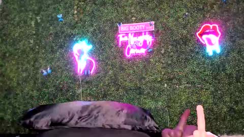 bigbuttsarena online show from May 2, 12:25 am