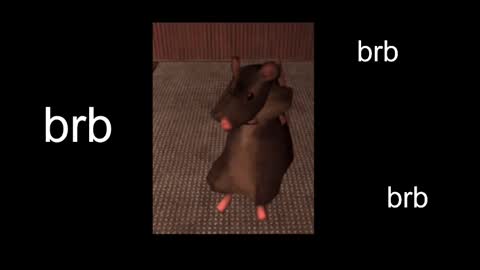  Black Kittie    Wednesday - 1300 - 1900 GMT help me get 100 thumbs up online show from February 27, 2:00 pm