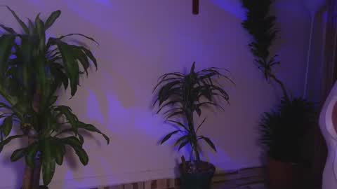 Bri  online show from February 23, 4:39 pm