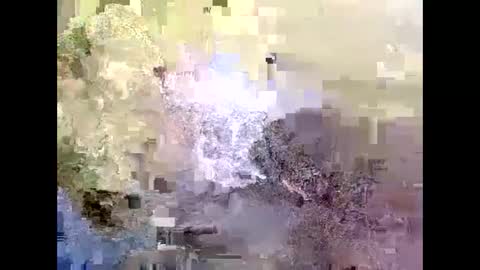 talisha online show from June 3, 7:19 pm