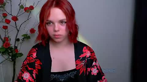 Ariel online show from April 27, 8:17 pm