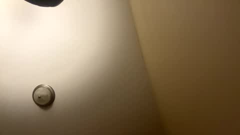 buschbaby online show from March 11, 7:34 am