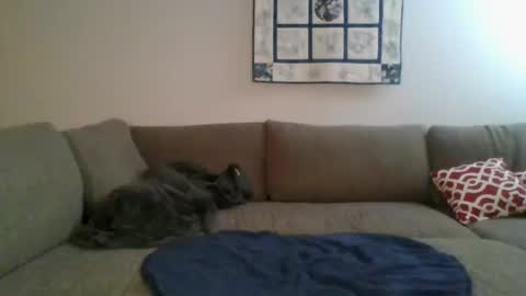 caitieluvs online show from November 15, 5:08 am