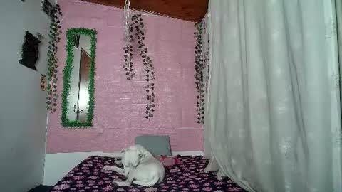 paula online show from June 18, 2:13 am