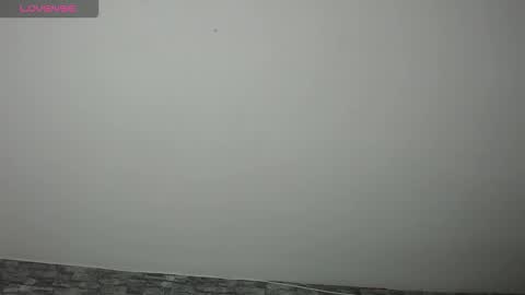 Camelia online show from September 19, 4:00 am