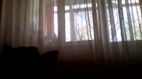 Casey online show from November 5, 8:52 am