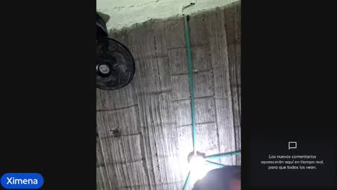 cat_hot_party online show from November 4, 2:38 am