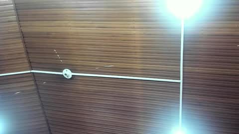 caylincollins online show from February 2, 12:48 pm