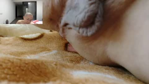 ANNYANNY online show from June 12, 4:04 pm