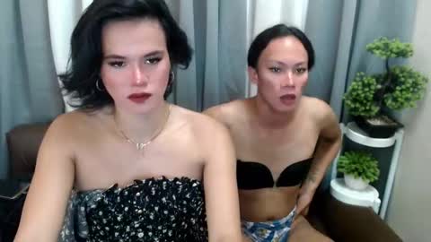 Rosette online show from June 11, 10:12 am