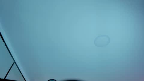 charlote_rossee online show from November 14, 3:17 am