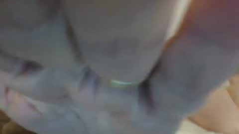 Snapshot of chevybear69 chatting on September 14, 12:14 pm Jade and Thomas online show from September 14, 12:14 pm